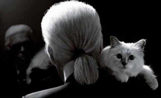 Angkat Tema ‘Karl Lagerfeld: A Line of Beauty’, Met Gala 2023 Undang Kucing Sang Desainer